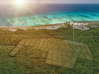 Desarrollo Maya Paraíso Lotes De Inversión De 490m2 En El Maravilloso Puerto De Sisal, Yucatán