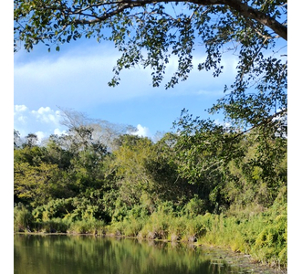 Terreno Con Cenote, En Izamal, Yucatan.