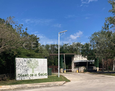 Terreno En Venta Paseos De La Selva, Cancún, Quintana Roo