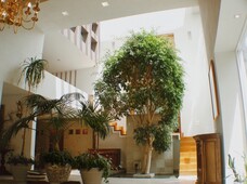 venta exclusiva casa - cerrada bosque de pinos - bosques de las lomas - 3 habitaciones - 500 m2