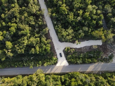 Venta Lotes Frente Carretera con Titulo de Propriedad 350mq Ruta de los Cenote