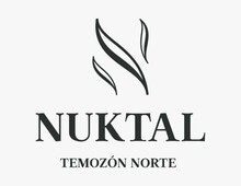 venta terreno en privada nuktal temozon