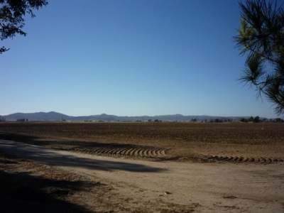 Rancho en Venta en OJOS NEGROS Ensenada, Baja California