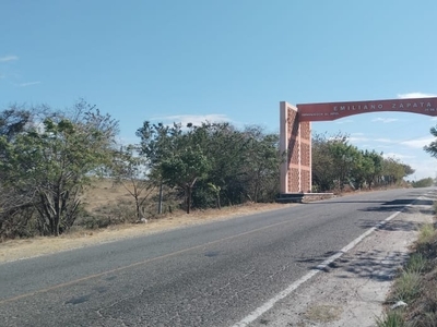 642 Terreno En Renta En 20de Noviembre Municipio De Emiliano Zapata