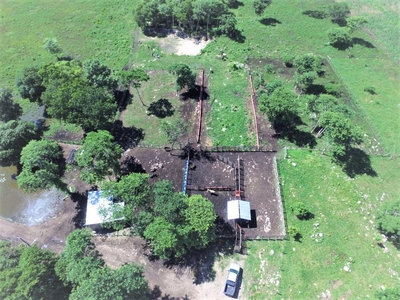Rancho Agrícola-ganadero En Venta De 90 Hectáreas En Champotón, Campeche