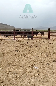 Rancho Agrícola / Ganadero En Venta Por Ejido La Esperanza.