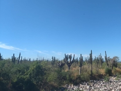 Rancho Lagunillas Terreno Venta La Paz Baja California Sur