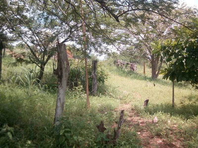 Terreno En Cintalapa - Chiapas