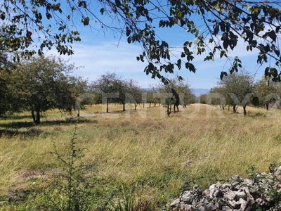 Terreno En Renta En El Tecolote, Colima