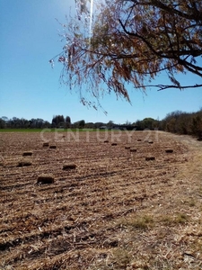 Terreno En Venta Campo 25.5 Cd. Cuauhtémoc, Chihuahua.