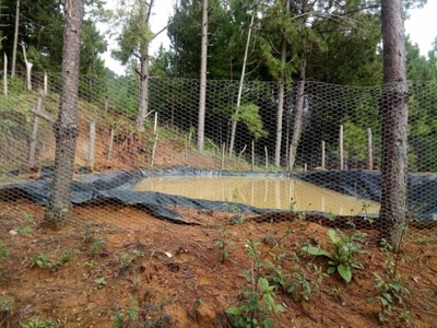 Terreno en venta en mazamitla, Mazamitla, Jalisco