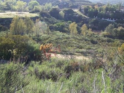 Terreno Grande En Venta, Muy Cotizado Por Estar En Esquina, En El Exclusivo Rancho Tecate, En Mes...