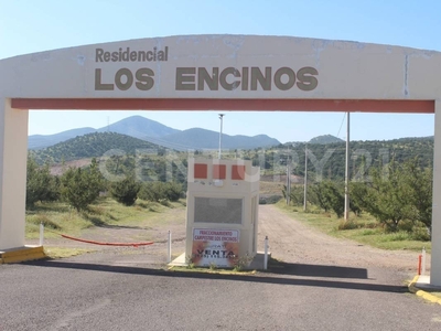 Terrenos Campestres En Cd. Cuauhtemoc, Chihuahua.