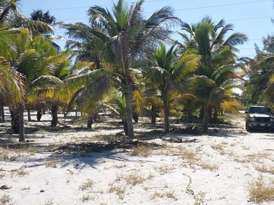 Vendo Dos Terrenos En Playa En Km 35