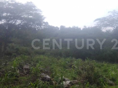 Venta, Terreno Predio El Aguacatal , Comunidad El Manzanillo, San Cristobal L.c