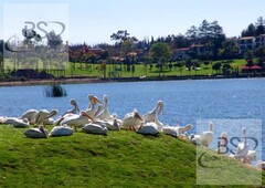 av casa en renta cumbres del lago juriquilla queretaro