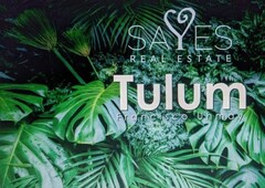 Visionario: Invierte en el nuevo crecimiento de Tulum en Francisco Uh May
