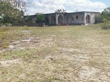 Rancho en Venta de 472 ha, vía Tizimin, Yucatán