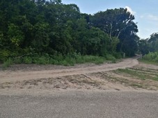 terreno forestal en venta de 975 hectareas en tzucacab, yucatan