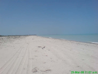 Excelente oferta para inversion en la mejor Playa del Golfo de Mexico