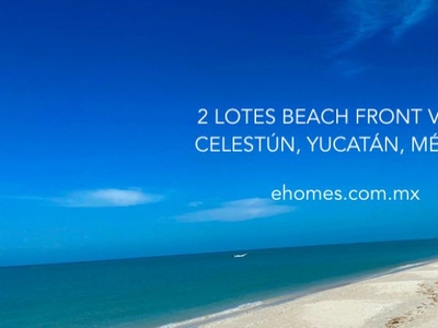 Ultimo Lote disponible frente a la playa en Celestún Yucatan, $233,000.00 x ML