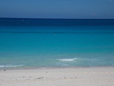 Departamento Oleo Cancun vista a Mar renta