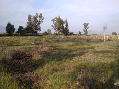 Terreno carretera Zapote lote 25 manzana 205