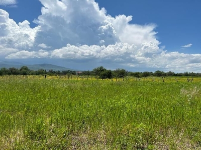 TERRENO EN VENTA EN PINAR DE LA LAGUNA 17 ATOTONILCO EL BAJO VILLA CORONA