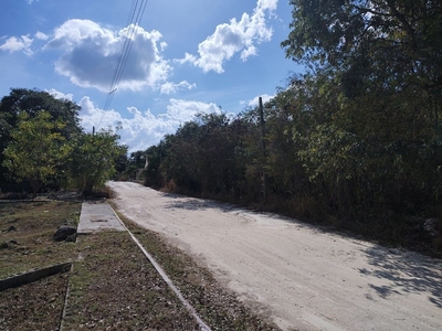 Terreno Venta En Cholul, Merida, Yucatan