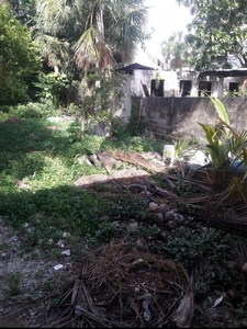 Terreno en Venta en colonia centro Cozumel, Quintana Roo
