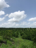 rancho en venta al sur de yucatan en tixmehua, sobre carretera merida-chetumal.