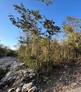 Terreno en Venta en Region 15 Tulum, Quintana Roo