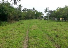 venta terreno 8.62 hectáreas frente fecapomex tuxpan veracruz