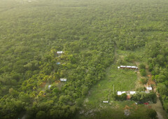 Terreno en venta en leona vicario, Puerto Morelos, Quintana Roo