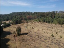 terreno para rancho en mesa rica