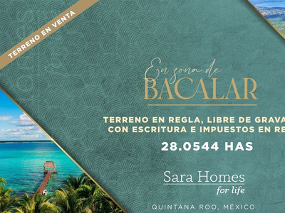 Bacalar Terreno En Venta Sobre Carretera