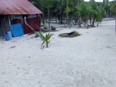 BELLISIMO TERRENO A ORILLA DE PLAYA EN MAHAHUAL