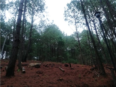 Hermoso terreno céntrico en el Bosque de Mazamitla, Jalisco