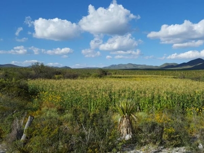 Rancho en Venta Doctor Arroyo N.L.