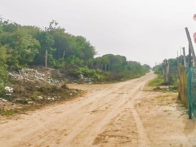 Terreno en venta en Chelem Yucatán, Zona habitacional