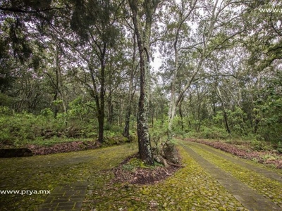 Terreno en venta en Reserva de los Encinos, Teuchitlán