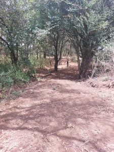 TERRENO EN VILLA VICTORIA MEX.