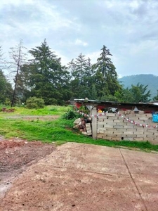 Terreno habitacionalenVenta, enSan Ignacio de Loyola,Atlacomulco