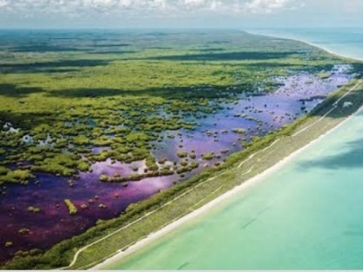 TERRENOS DE INVERSIÓN EN VENTA a 11 Km de la Playa de Sisal en Yucatán, 1,000m2