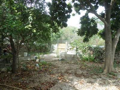 Venta terreno ideal para casa de descanso con casa y pozo de cenote en Ucú