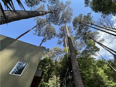 doomos. casa en avandaro valle de bravo en renta