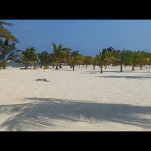 hermoso terreno en Mahahual con 29m de playa escriturado sin problemas legales