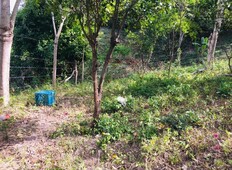 terreno en venta en el ranchito colexio, puerto vallarta, jalisco