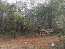 macrolote de 7 hectáreas en venta, seyé, yucatán