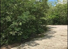 terreno en venta kikteil merida yucatan